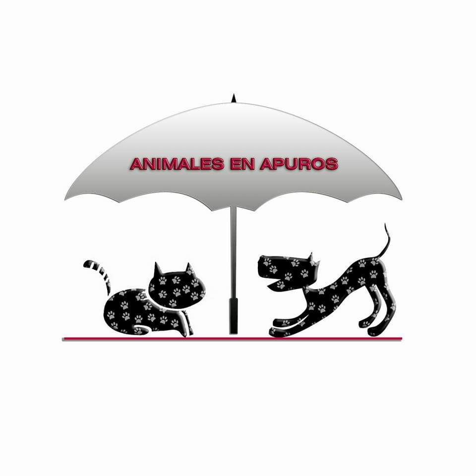 Animales En Apuros Lucena - Grupo Teaming